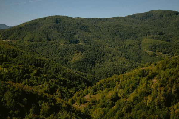 Quels sont les meilleurs conseils pour devenir un expert en gestion des risques naturels ?