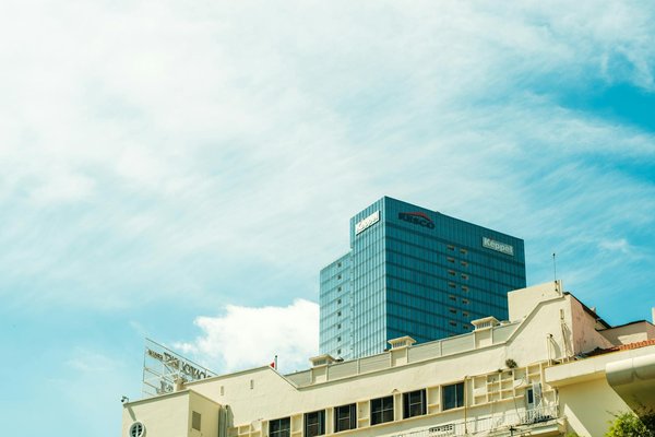 Quels sont les conseils pour organiser un concours de photographie de la faune locale?