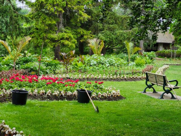 Comment optimiser l'aménagement de votre jardin pour favoriser la biodiversité locale ?